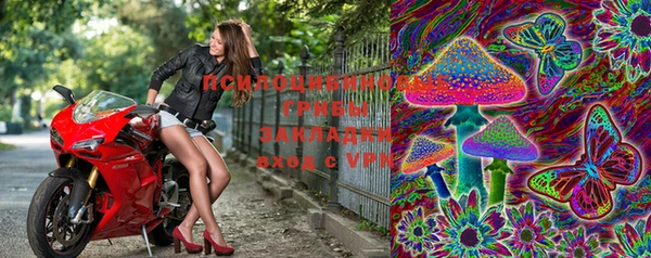 амф Медвежьегорск