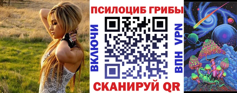 hydra рабочий сайт  Ленинградская  Псилоцибиновые грибы Psilocybe 