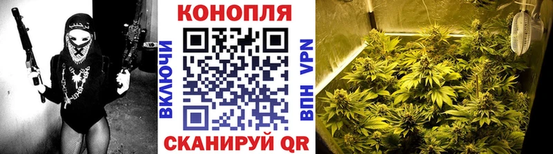ссылка на мегу   Ленинградская  Бошки марихуана планчик 